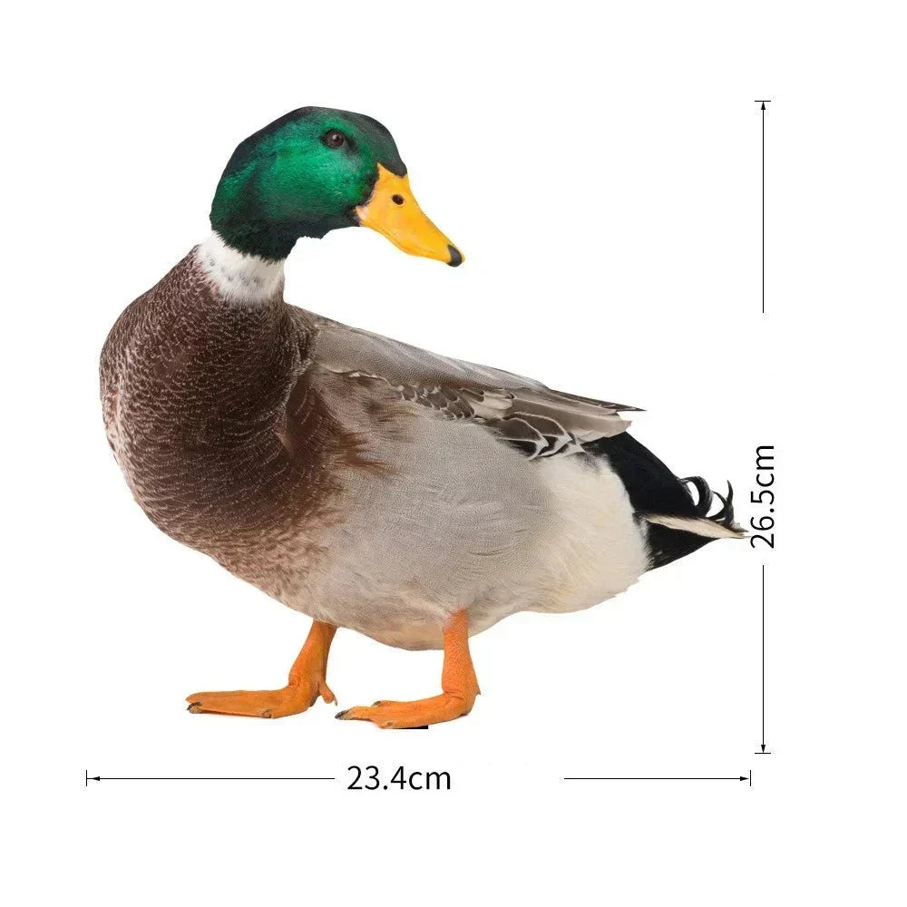 Realistyczna figurka kaczki do ogrodu i dekoracji na zewnątrz
