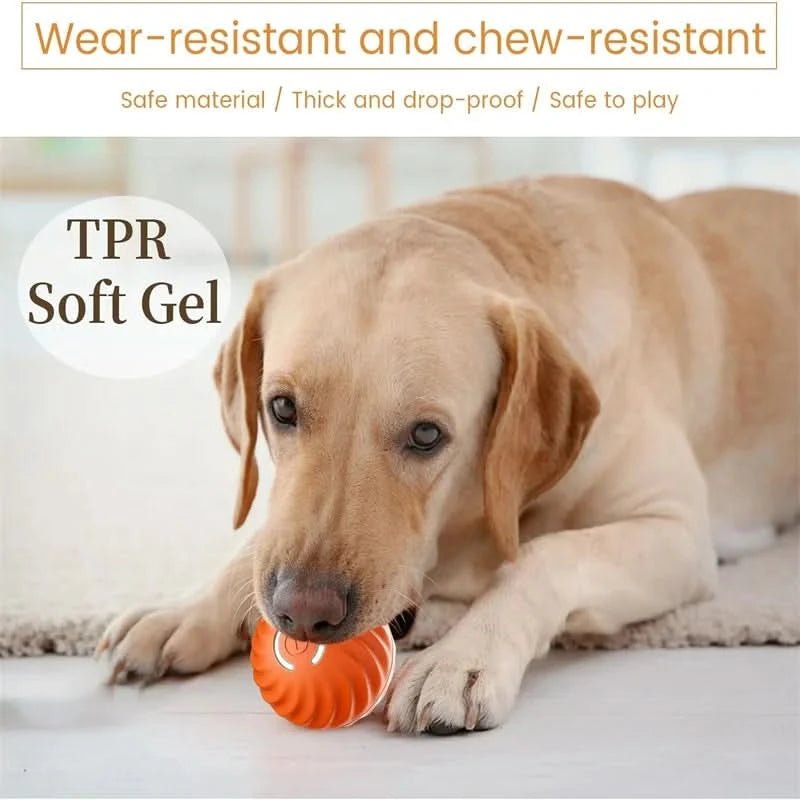 PawPulse Interactive Dog Ball - Rechargeable Bouncing Ball