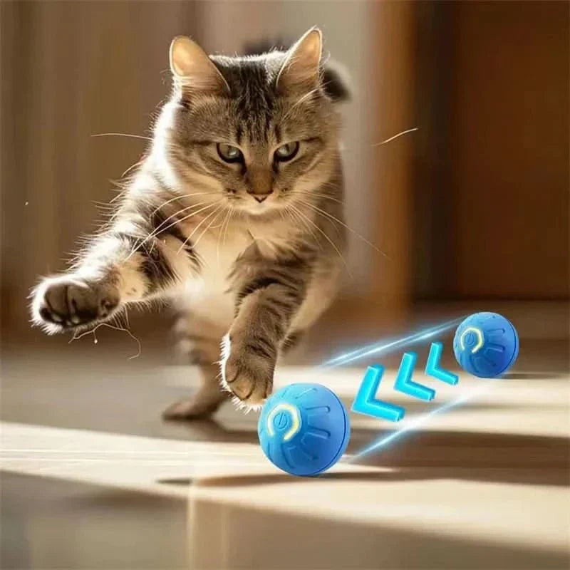 PawPulse Interactive Dog Ball - Rechargeable Bouncing Ball