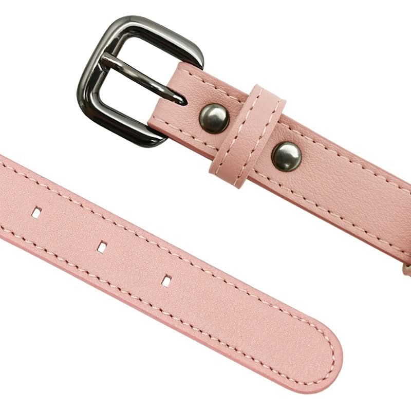 PawGuard Collar With Integrated AirTag Holder for Safety and Style