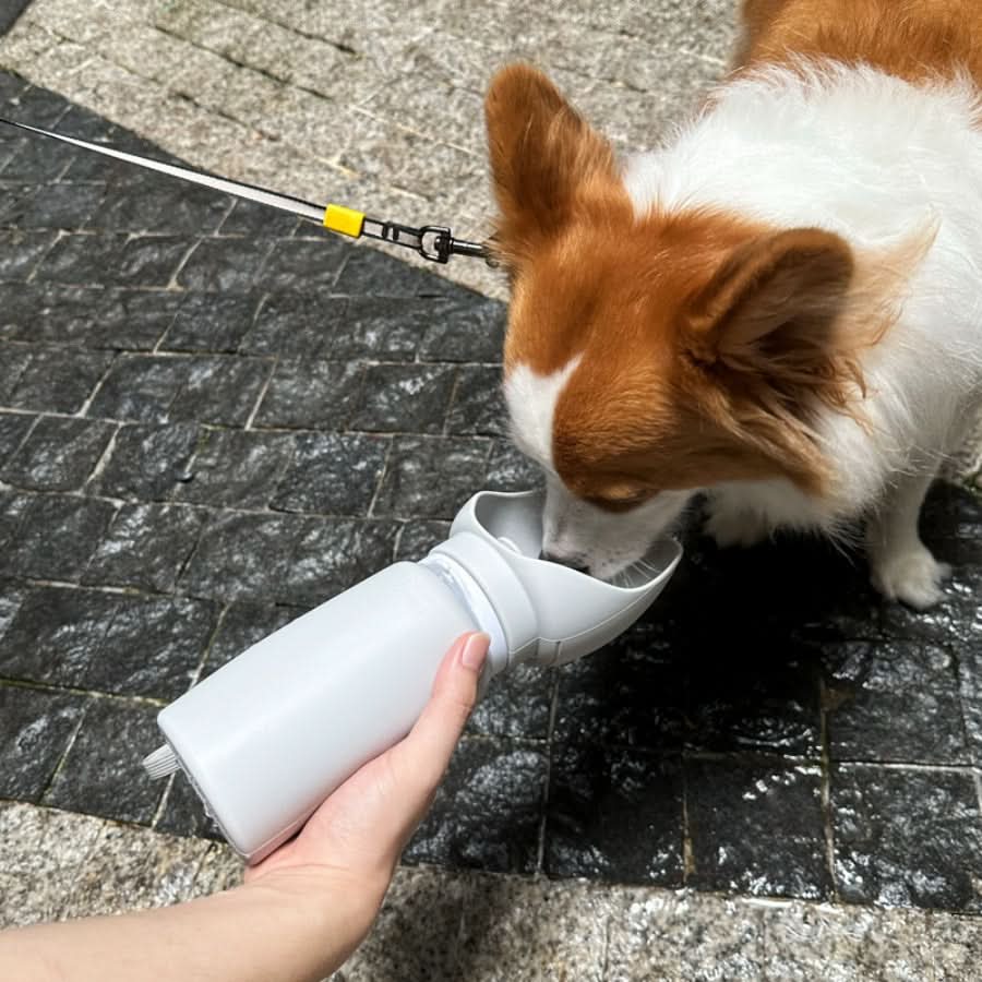 TrailMate Skládací láhev na vodu pro domácí mazlíčky, objem 550 ml