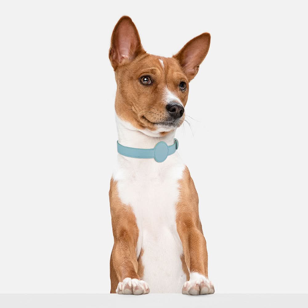 PawGuard Collar With Integrated AirTag Holder for Safety and Style