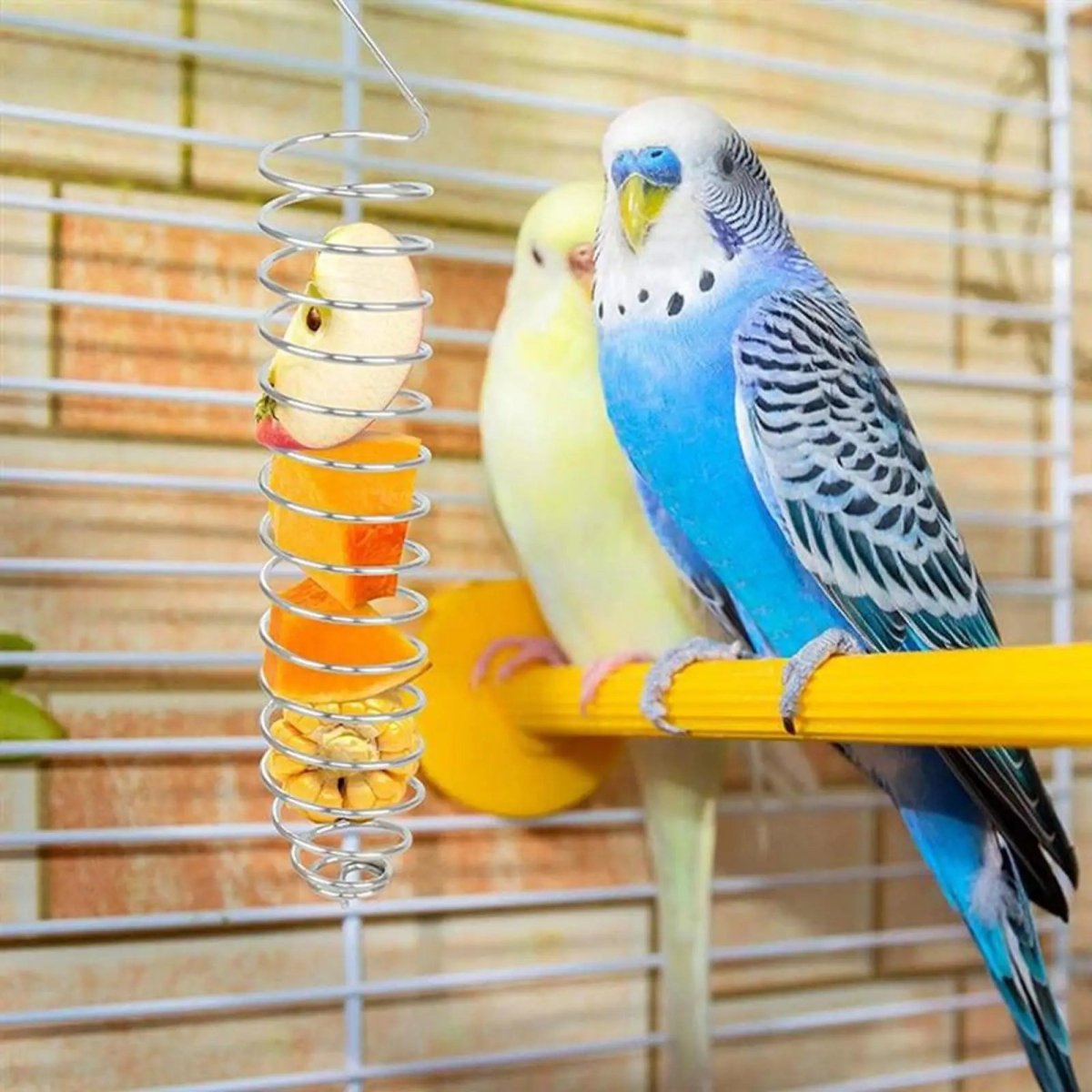 ApexSteel Parrot Food Dispenser: Durable Stainless Steel for Long-Term Use