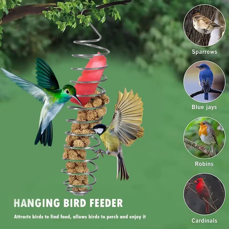 ApexSteel Parrot Food Dispenser: Durable Stainless Steel for Long-Term Use