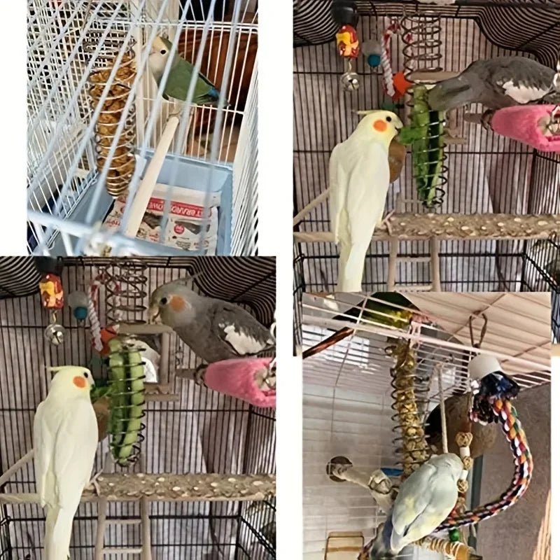 ApexSteel Parrot Food Dispenser: Durable Stainless Steel for Long-Term Use