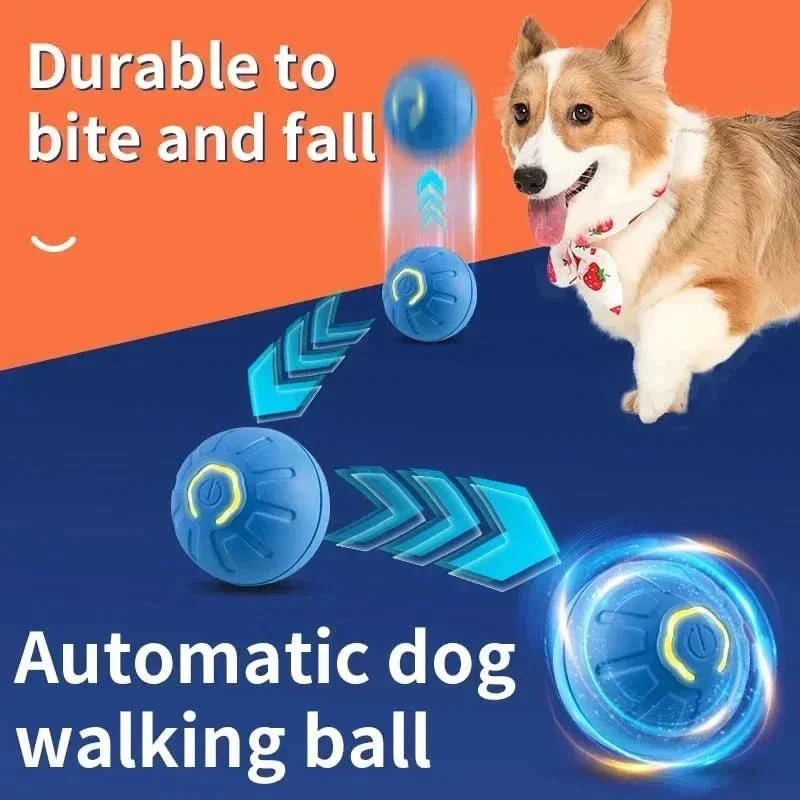 PawPulse Interactive Dog Ball - Rechargeable Bouncing Ball