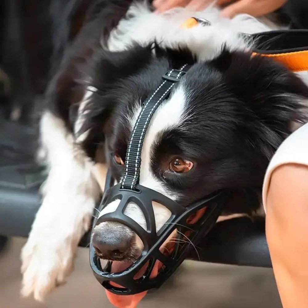 CalmPaw Gentle Dog Muzzle for Safe Everyday Situations