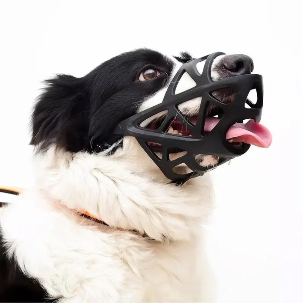 CalmPaw Gentle Dog Muzzle for Safe Everyday Situations