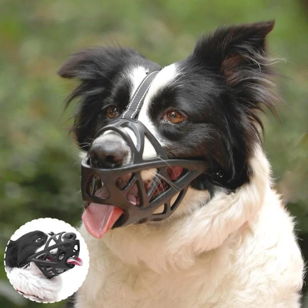 CalmPaw Gentle Dog Muzzle for Safe Everyday Situations
