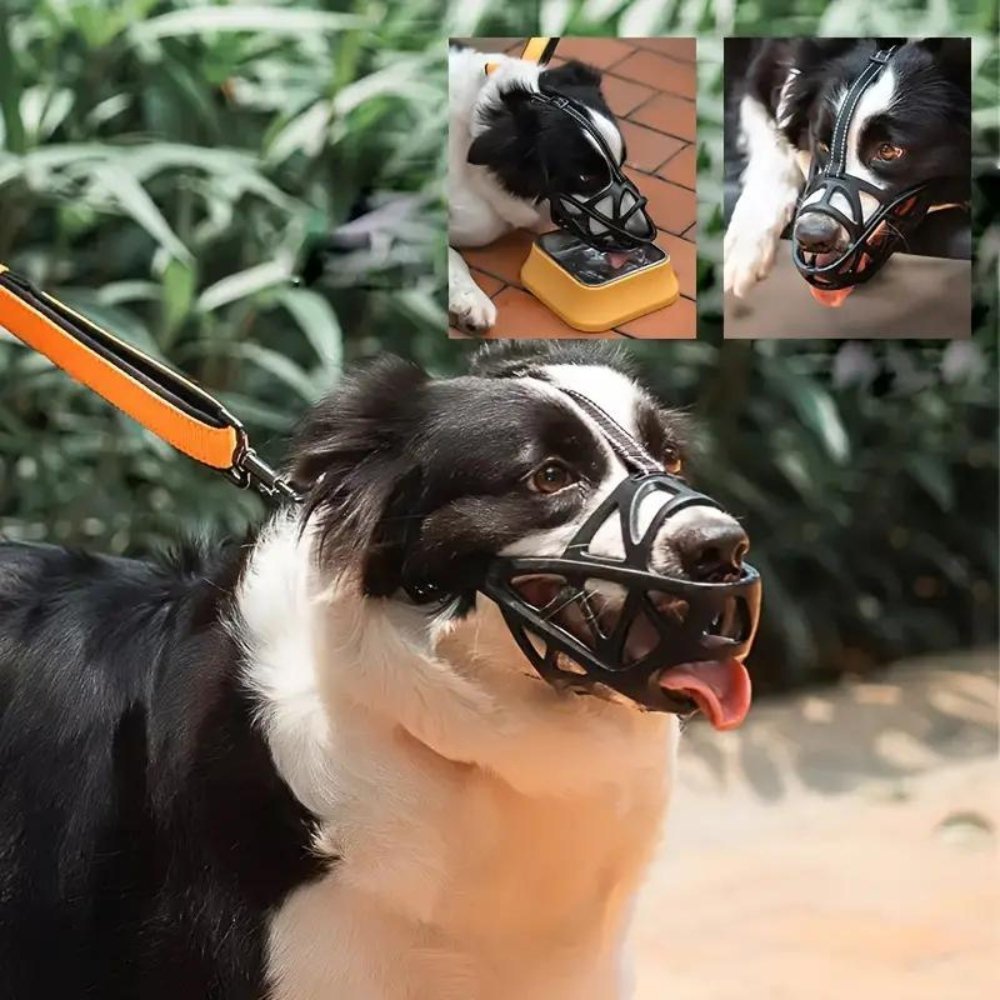 CalmPaw Gentle Dog Muzzle for Safe Everyday Situations