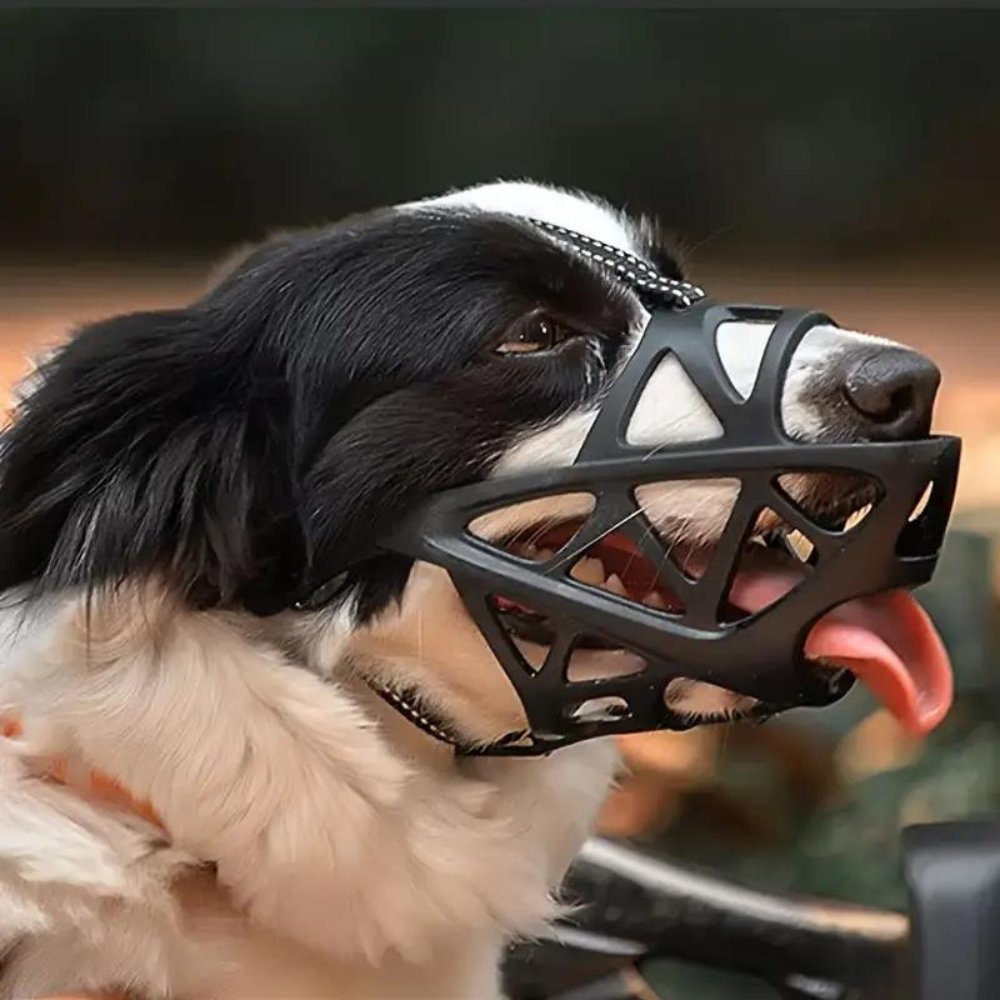CalmPaw Gentle Dog Muzzle for Safe Everyday Situations