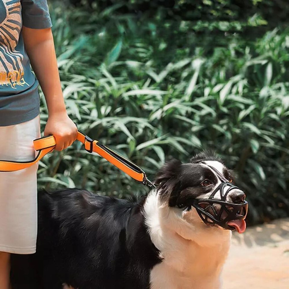 CalmPaw Gentle Dog Muzzle for Safe Everyday Situations