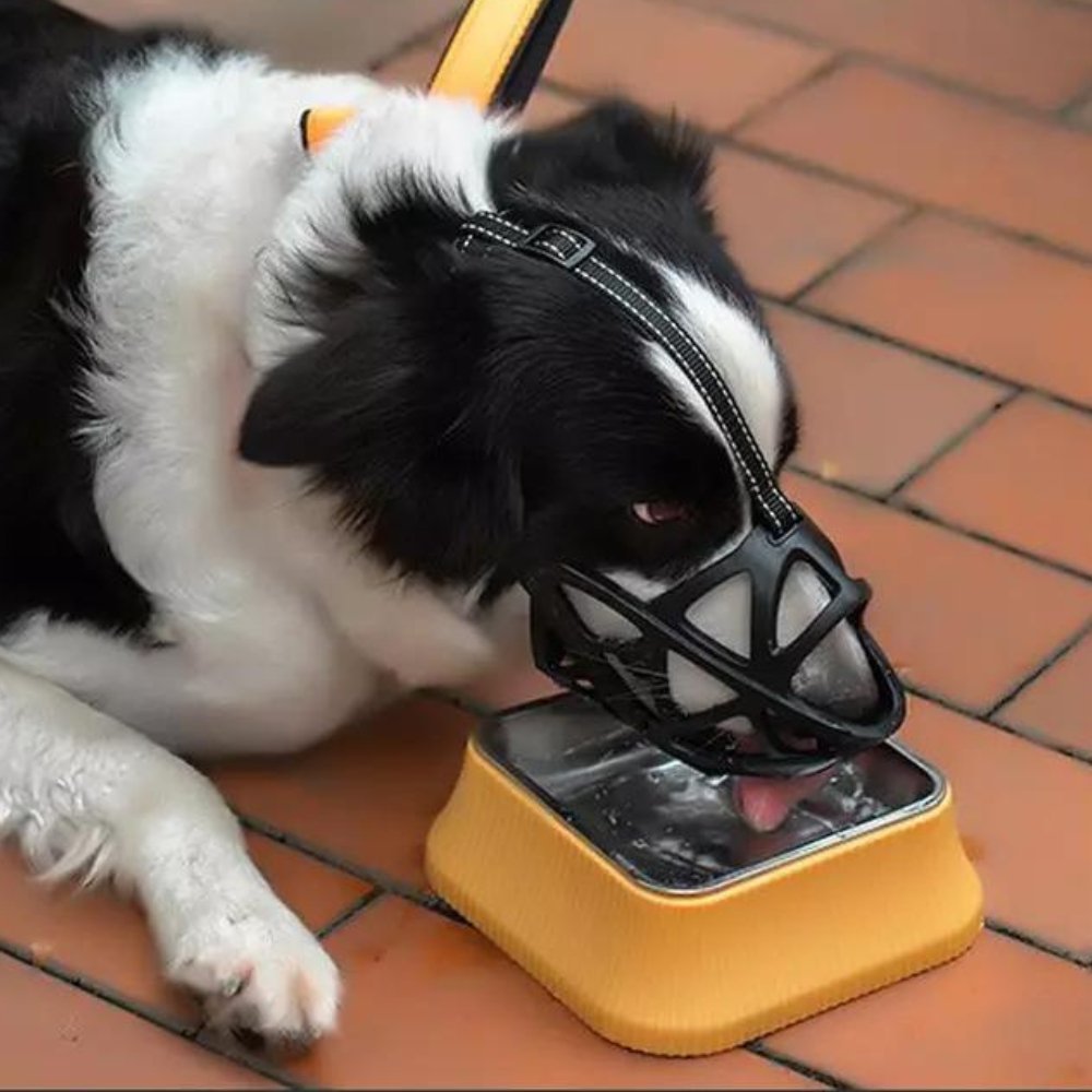 CalmPaw Gentle Dog Muzzle for Safe Everyday Situations