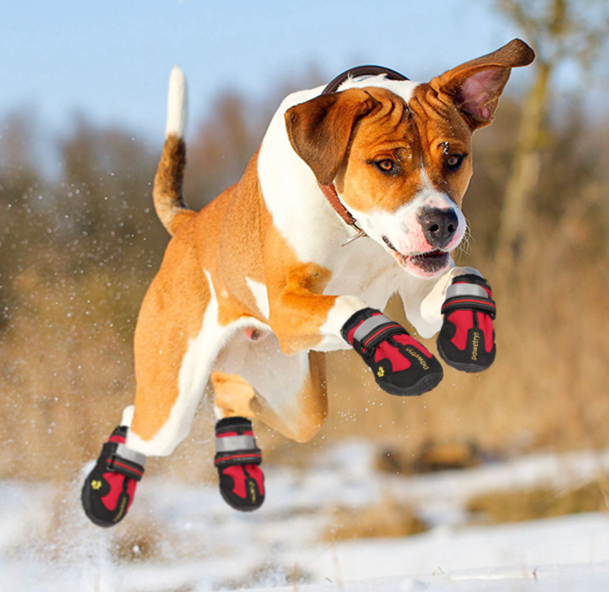 Henri Marcheur Waterproof Non Slip Dog Boots With Reflective Straps