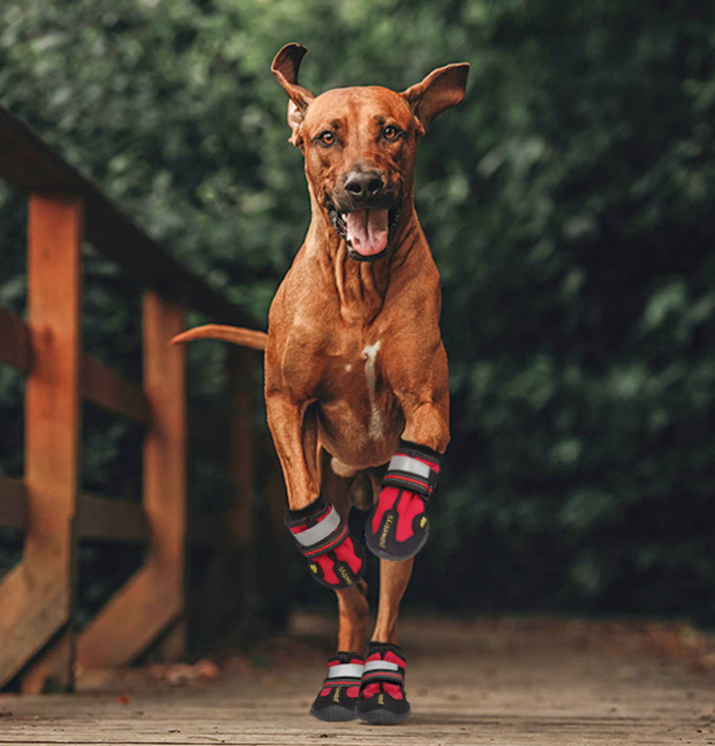 Henri Marcheur Waterproof Non Slip Dog Boots With Reflective Straps