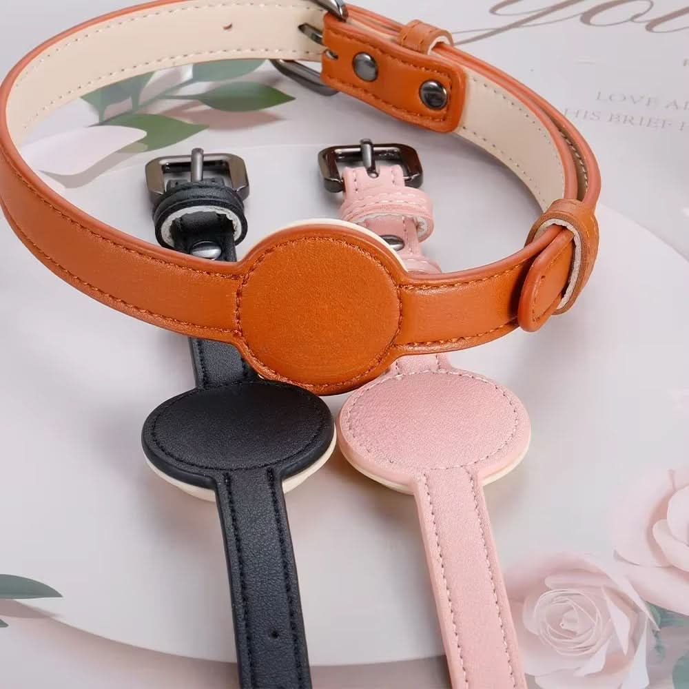 PawGuard Collar With Integrated AirTag Holder for Safety and Style