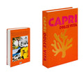 LuminaNest Vibrant Decor Books To Elevate Your Living Room Ambience