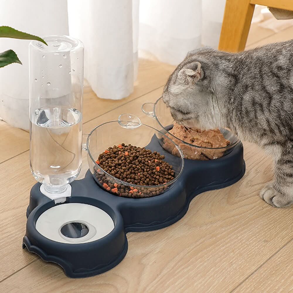 SafeFeast 3-in-1 Feeding Station With Drinking Dispenser And Raised Bowl