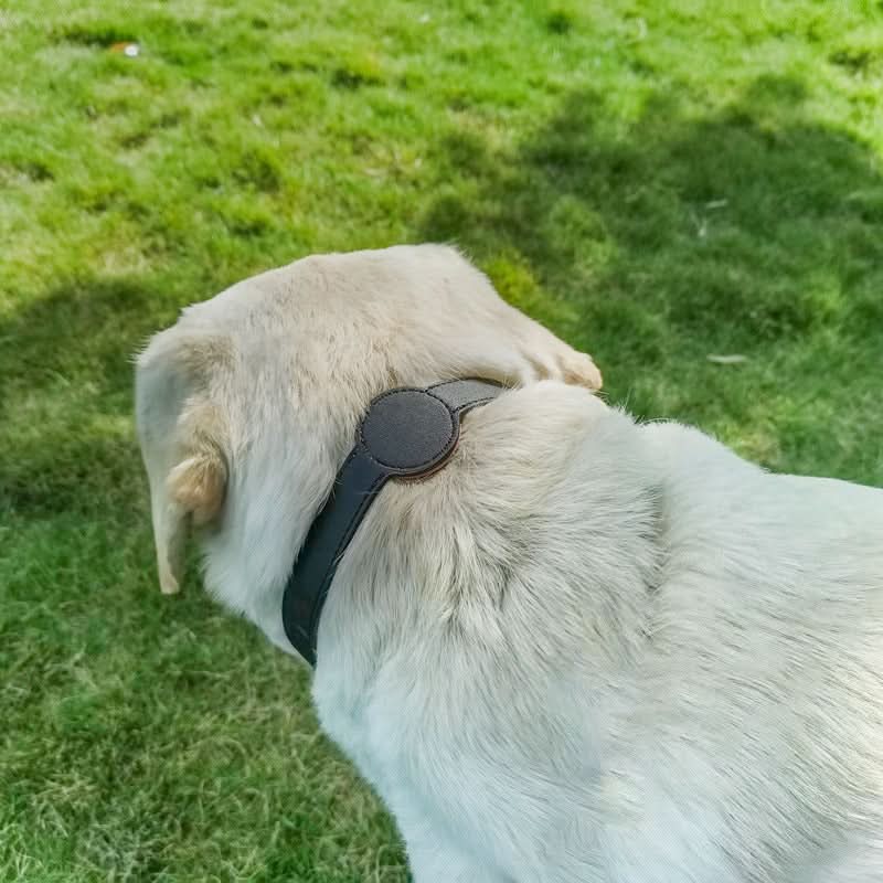 PawGuard Collar With Integrated AirTag Holder for Safety and Style