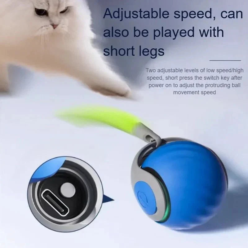 PawVibe Interactive Rolling Toy - USB Rechargeable with Faux Tail for Pets