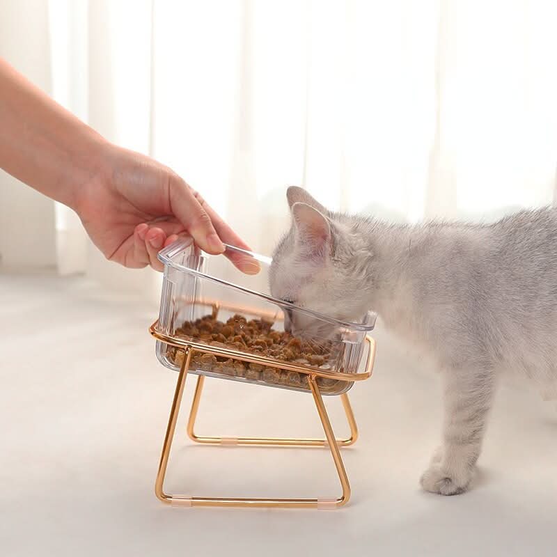 PawNova Hævet Foderskål til Katte og Små Hunde
