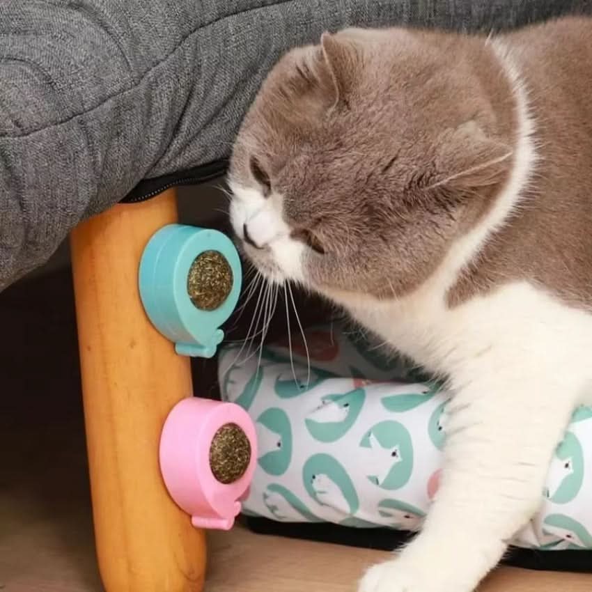 WhiskerBloom Hračka s kozlíkem lékařským pro péči o zuby a zábavu při hraní