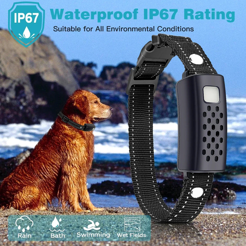 LED Night Dog Collar For Training And High Visibility Outdoors