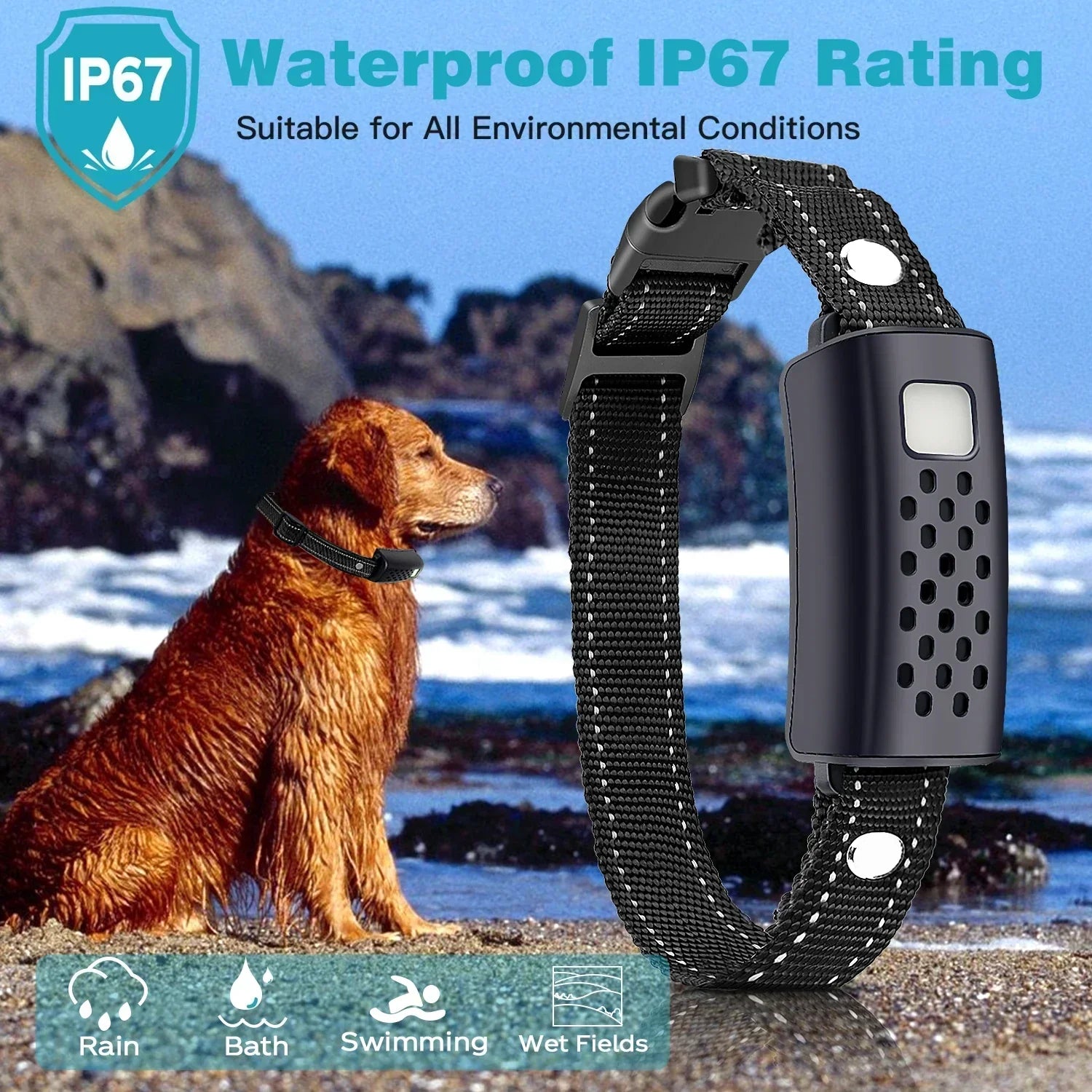 LED Night Dog Collar For Training And High Visibility Outdoors