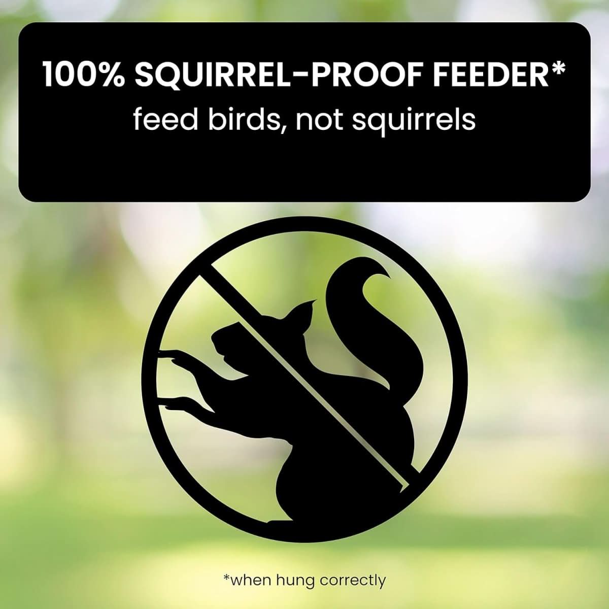 AeroGuard Squirrel Proof Birdhouse With Weight Controlled Feeder