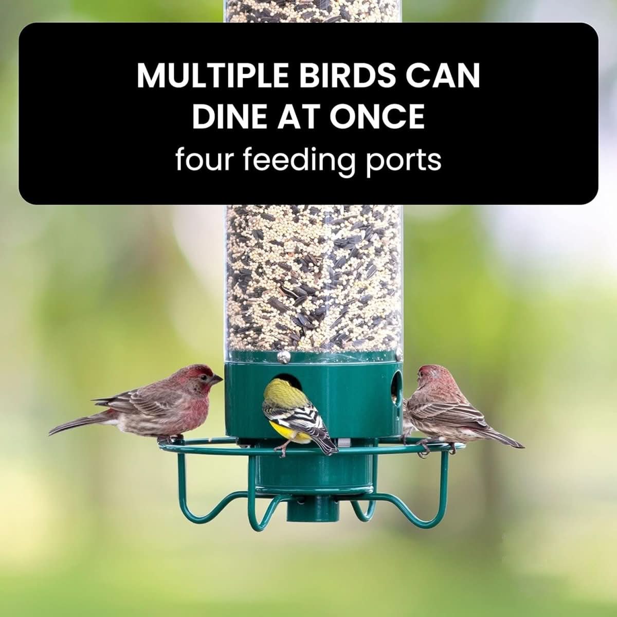 AeroGuard Squirrel Proof Birdhouse With Weight Controlled Feeder