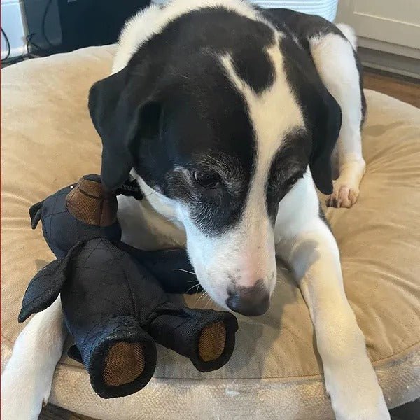 ChewPulse Interactive Dog Toy For Strong Chewers And Playful Pups