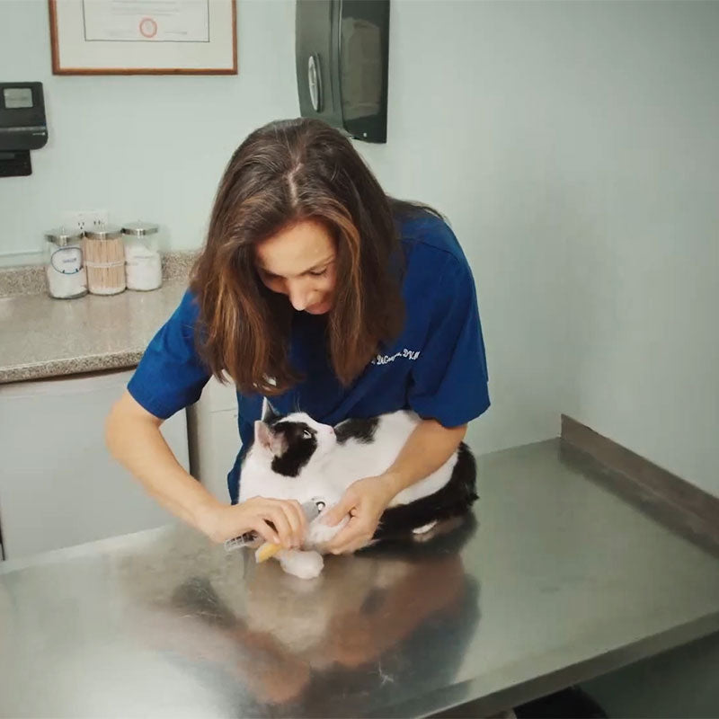MAX Nail Clippers For Dogs With Fast Sensors For Safe Trimming