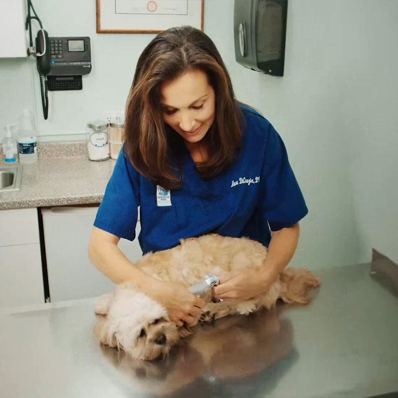 MAX Nail Clippers For Dogs With Fast Sensors For Safe Trimming