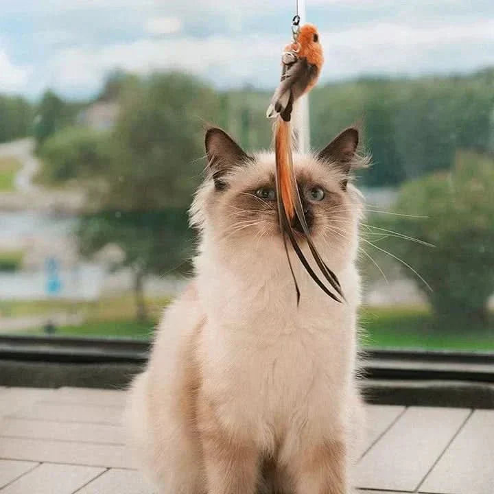 FlutterWing Interactive Cat Toy With Fluttering Wings