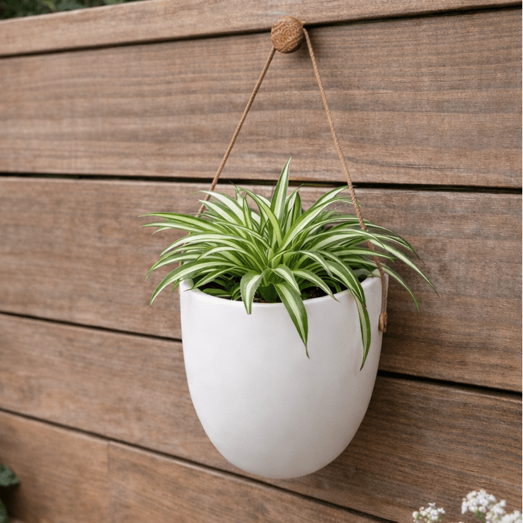 AstraWall Elegante Fioriera da Parete per Decorazione Verde Salvaspazio