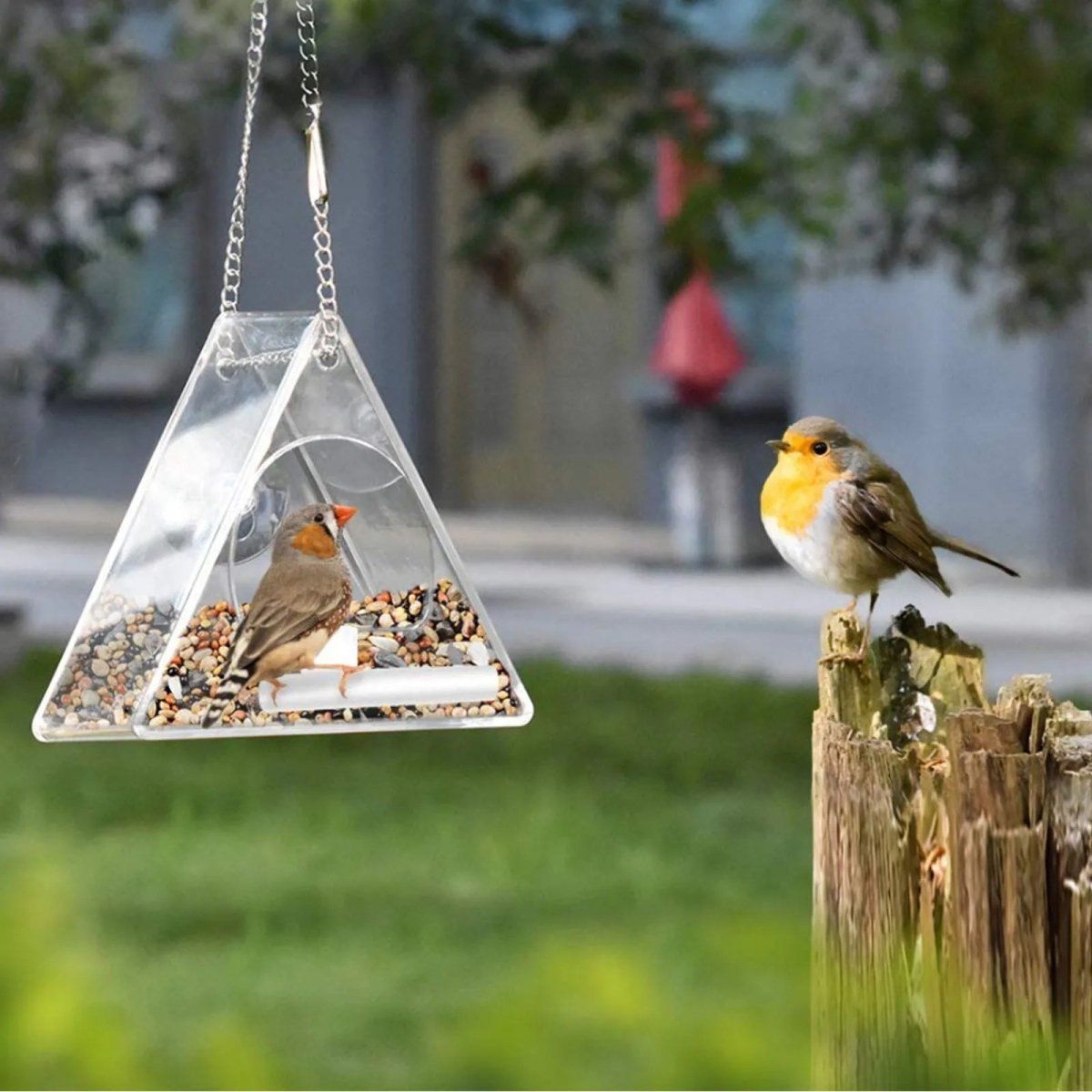 AeroFeeder Acrylic Bird Feeder for Outdoors With Triangular Wind Protection Design