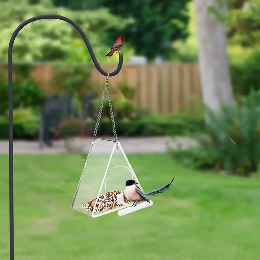AeroFeeder Acrylic Bird Feeder for Outdoors With Triangular Wind Protection Design