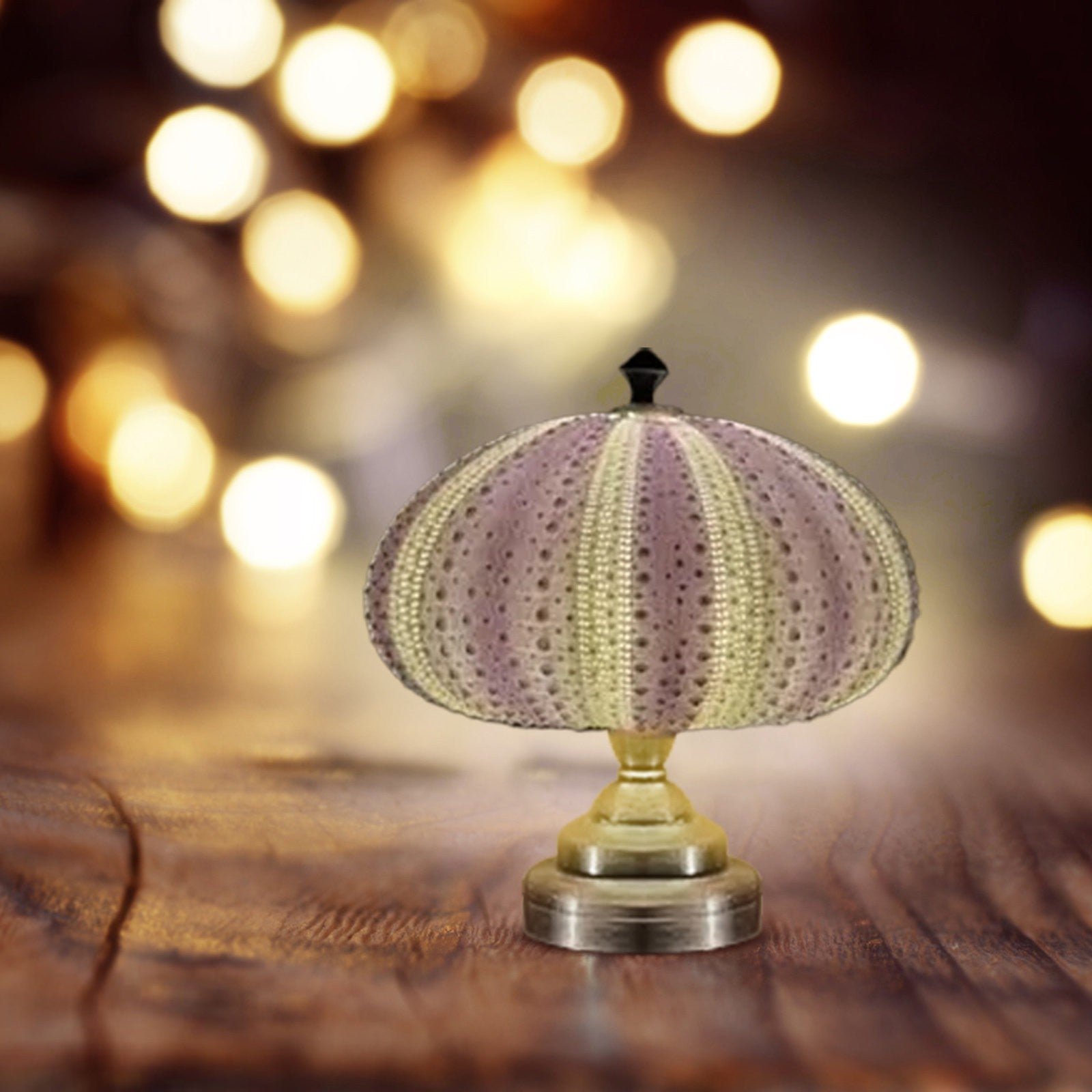 CoralGlow | Sea Urchin Ambient Night Light