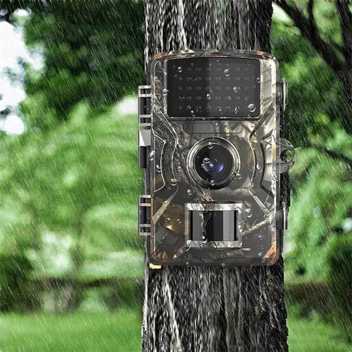 1080P Hunting Camera for Nighttime Wildlife Capture