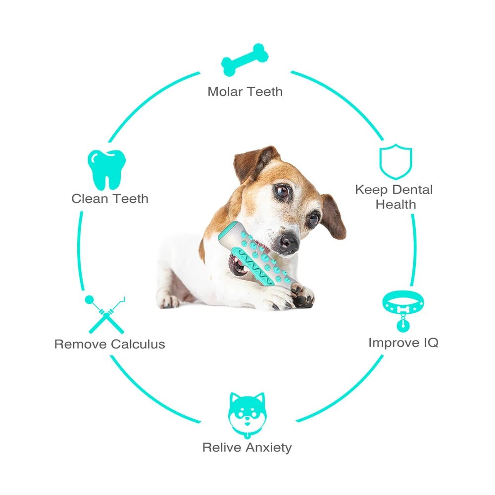 CalmPaws Duftendes Hundespielzeug mit sanfter Kräuterinfusion