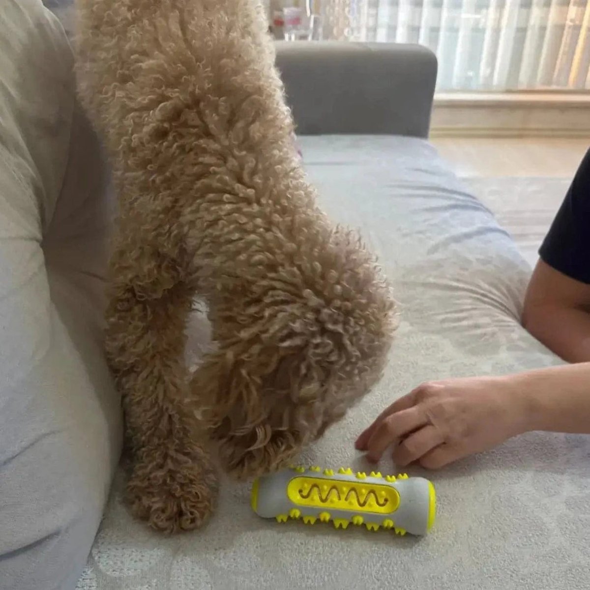 CalmPaws Duftendes Hundespielzeug mit sanfter Kräuterinfusion