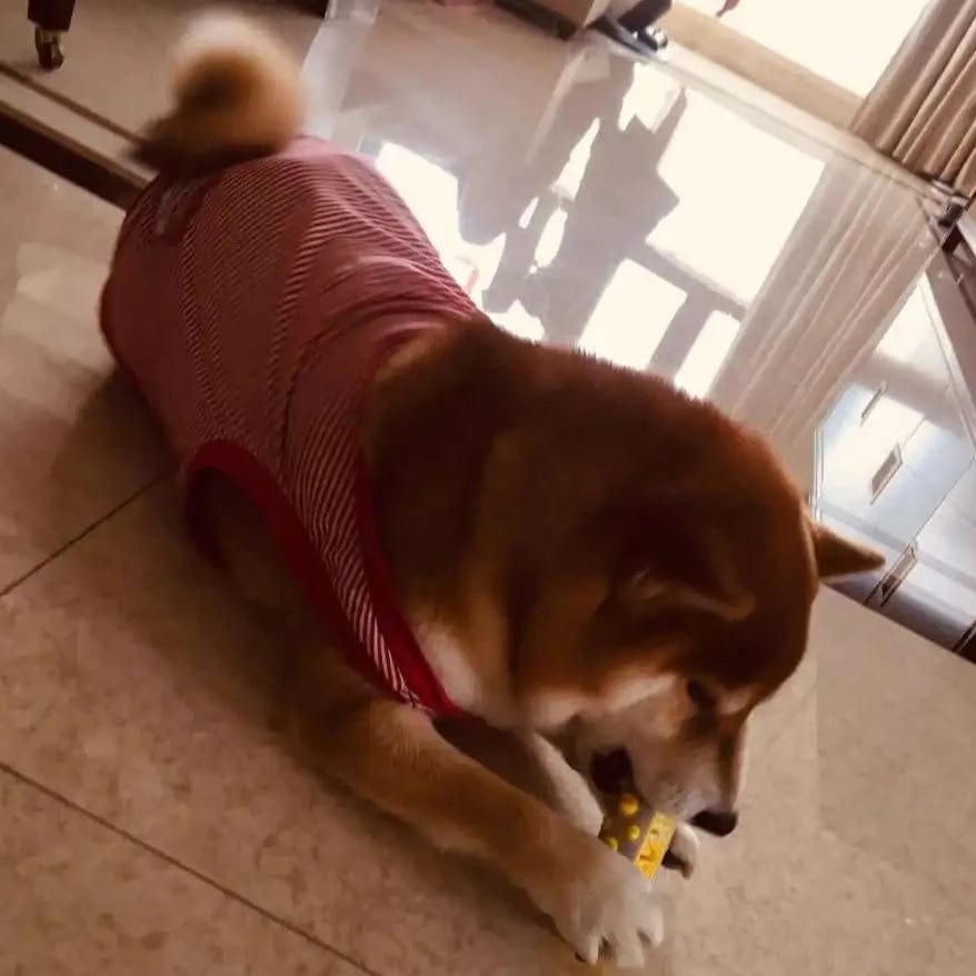 CalmPaws Duftendes Hundespielzeug mit sanfter Kräuterinfusion