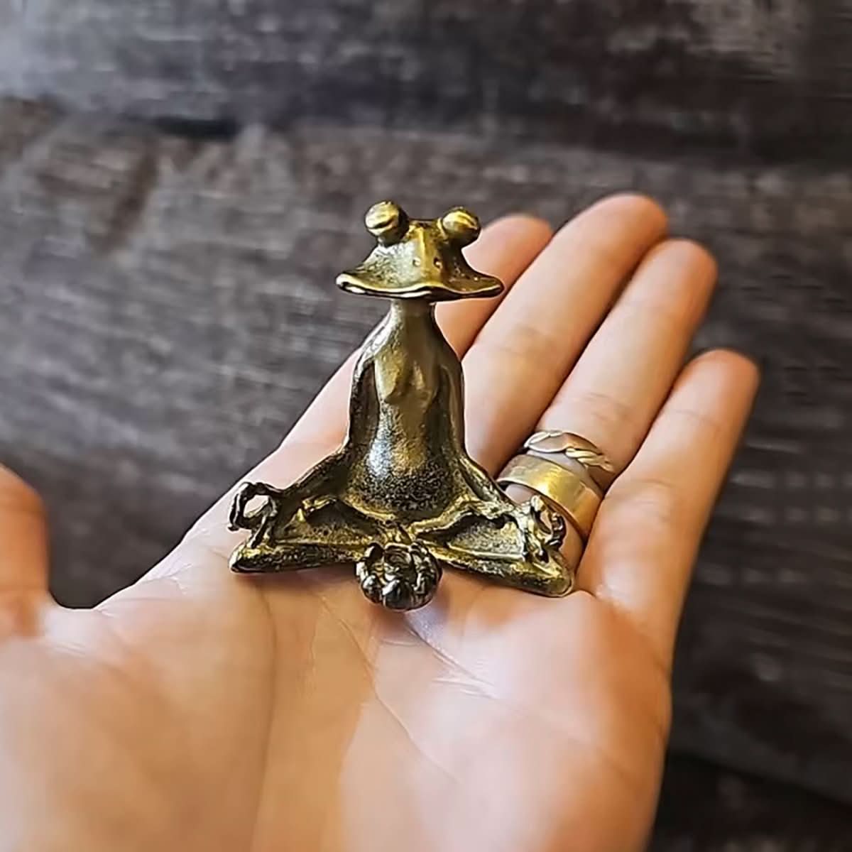 Porta Incenso a Forma di Rana per Meditazione Zenhaven in Ottone Fatto a Mano, Decorazione Spirituale Regalo