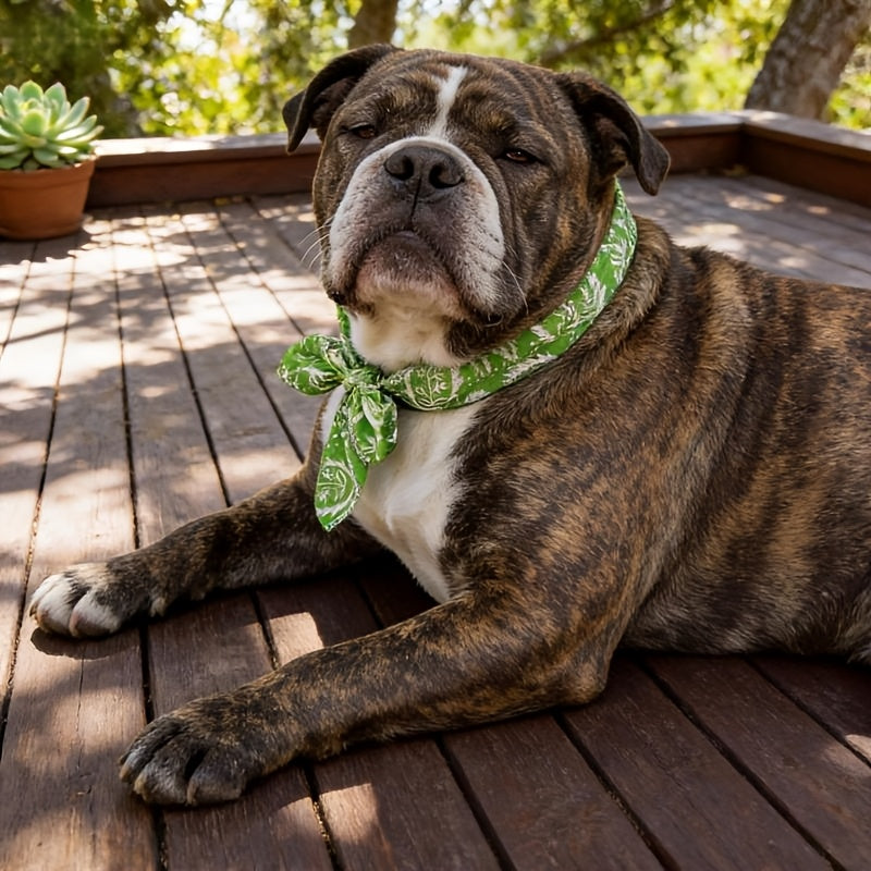 Reusable Pet Cooling Bandanas