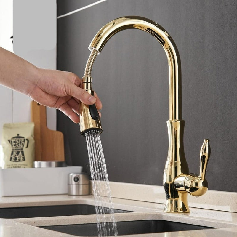 Výsuvná flexibilní kuchyňská baterie s dosahem 45 cm, kartáčovaný nikl