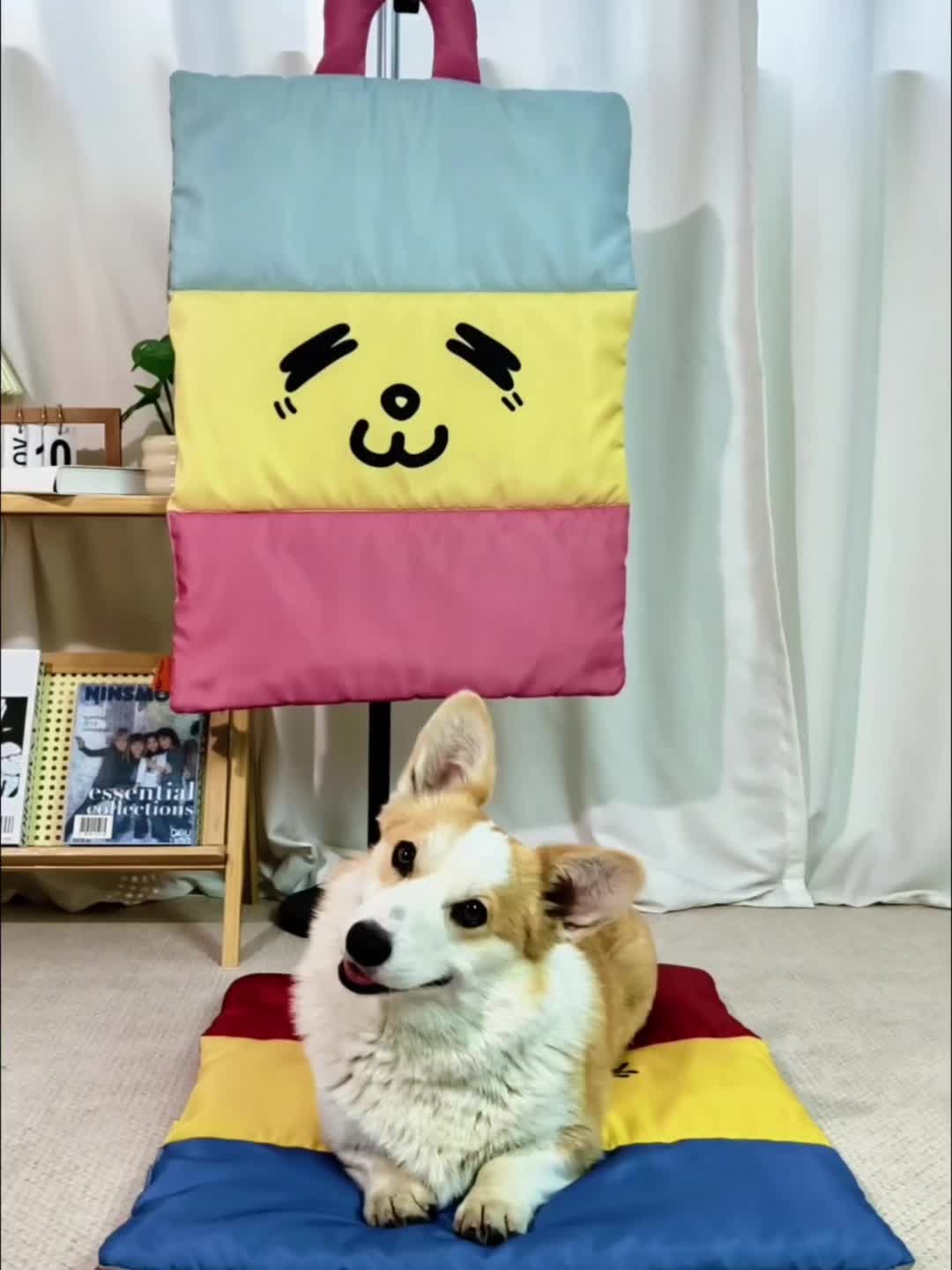 Reversible Cooling Pet Mat