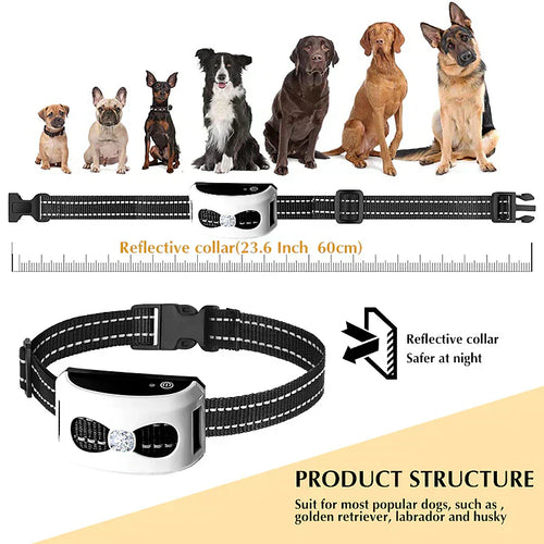 2-In-1 Wireless Dog Fence And Training Collar System, Waterproof Rechargeable, 300 M Range