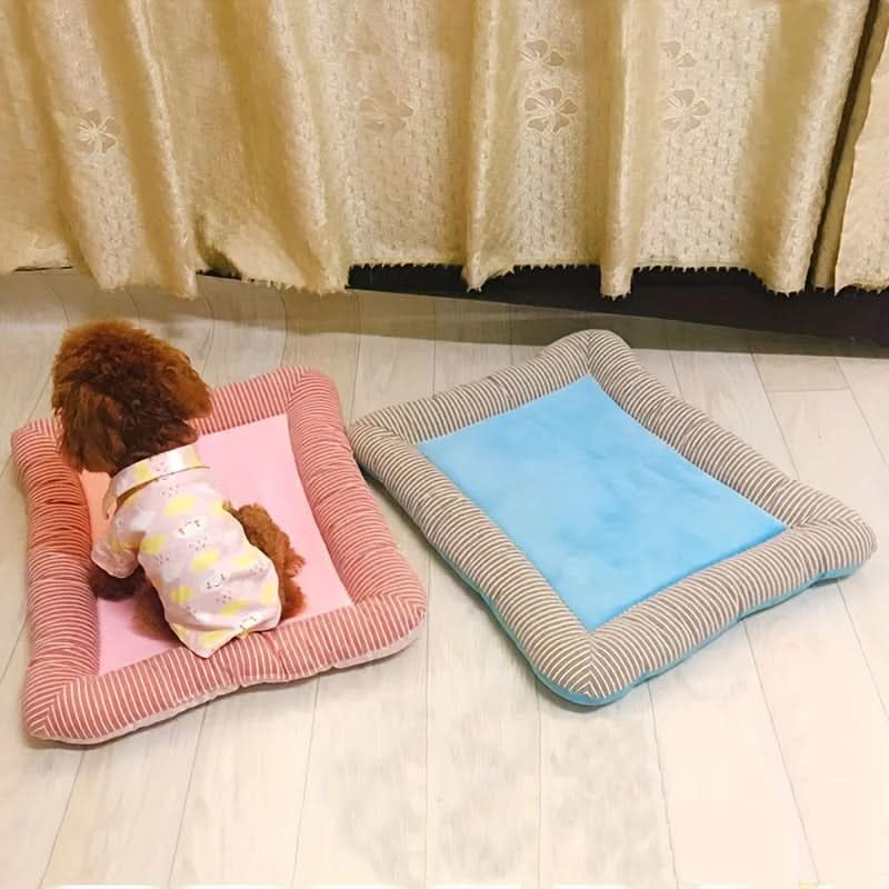 CoolPaw Cooling Pet Bed for Hot Days and Summer Comfort