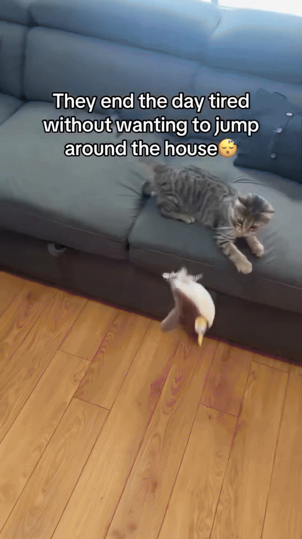 PurrPulse Interactive Plush Cat Toy For Energetic Cats