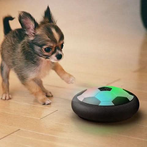 PouncePulse Interactive Play Ball For Dogs With Unpredictable Movements